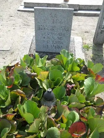Zdjęcie grobu 25/445