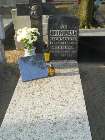 Zdjęcie grobu 37/100