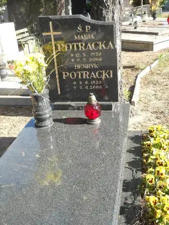 Zdjęcie grobu 35/100