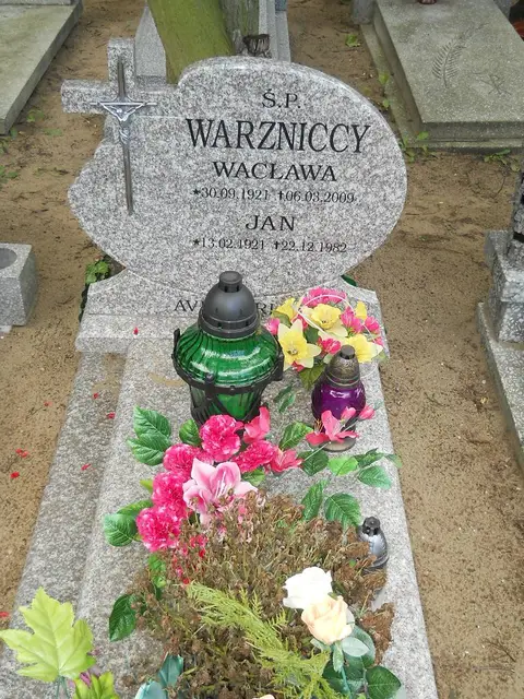 Zdjęcie grobu 12/29526