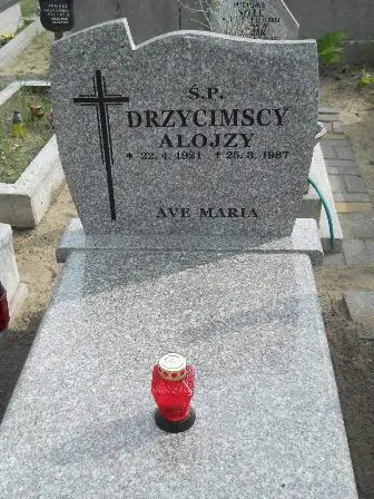 Zdjęcie grobu 22/100