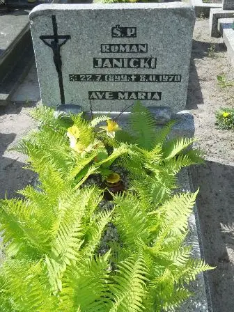 Zdjęcie grobu 24/358