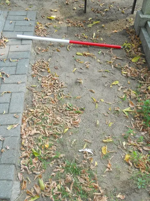Zdjęcie grobu 15/26606