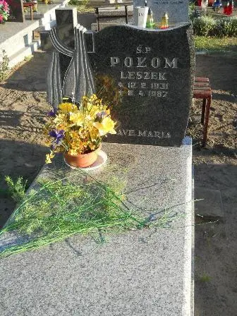 Zdjęcie grobu 45/35
