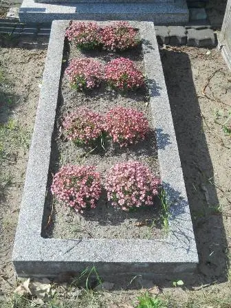 Zdjęcie grobu 14/100