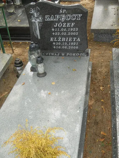 Zdjęcie grobu 16/26305