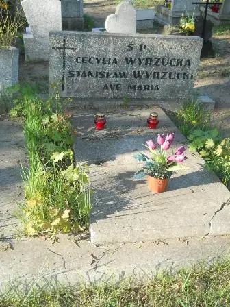 Zdjęcie grobu 7b/100