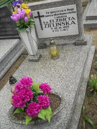 Zdjęcie grobu 36/259