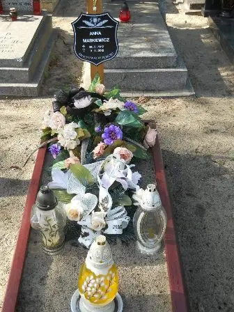 Zdjęcie grobu 24/100