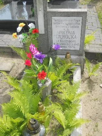Zdjęcie grobu 25/54