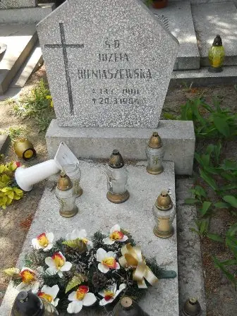 Zdjęcie grobu 25/33