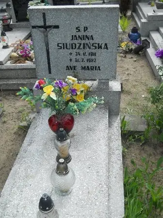 Zdjęcie grobu 41/207