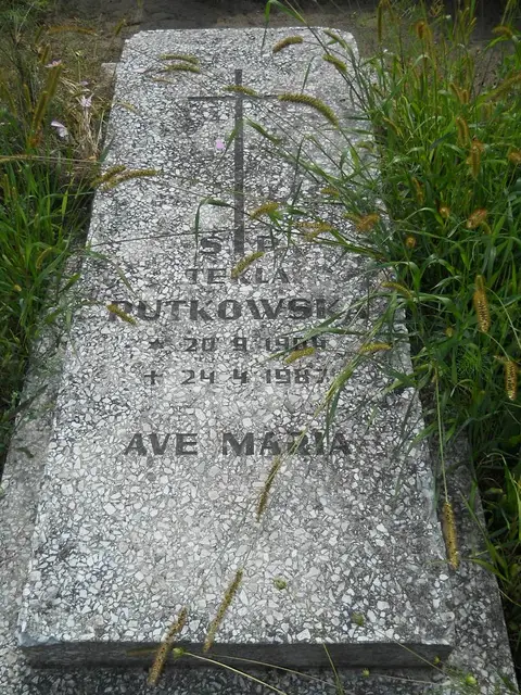 Zdjęcie grobu 16/26240