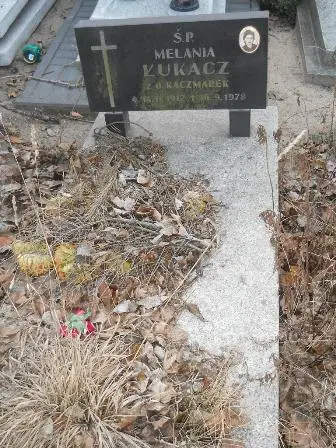 Zdjęcie grobu 8/142
