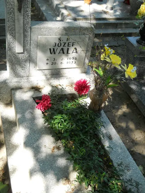Zdjęcie grobu 8A/10329