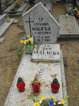 Zdjęcie grobu 33/31