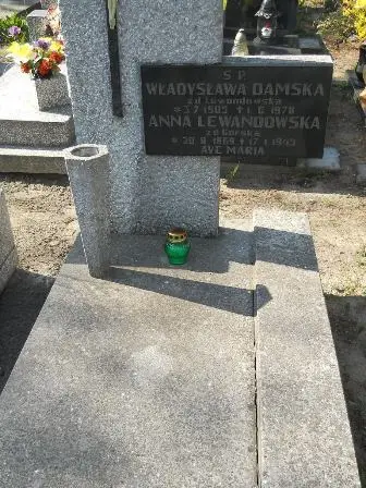 Zdjęcie grobu 24/202