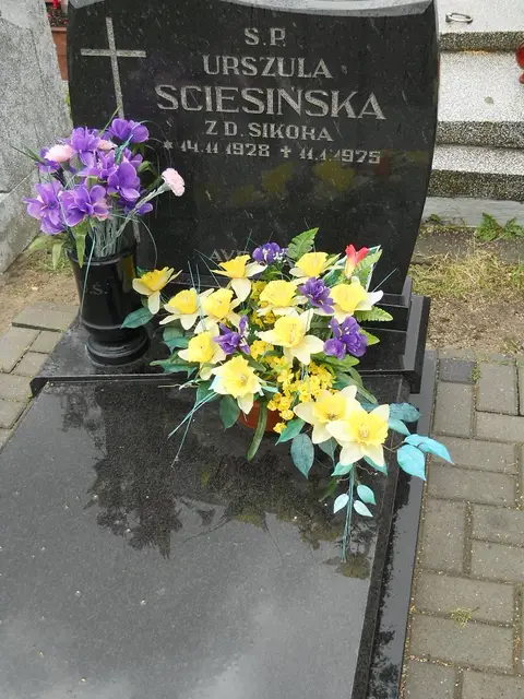Zdjęcie grobu 5/22481