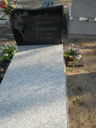 Zdjęcie grobu 45/311