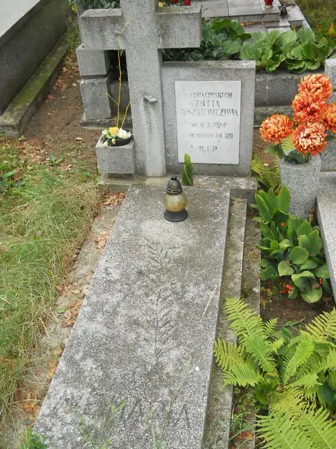Zdjęcie grobu 16/26026