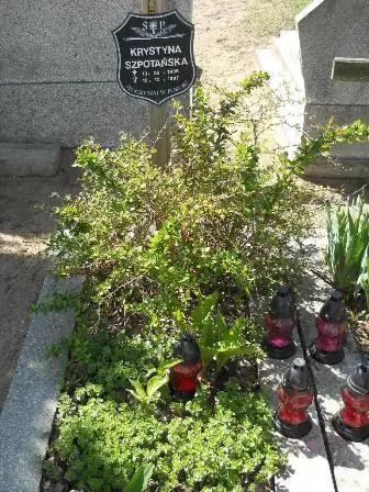 Zdjęcie grobu 35/270