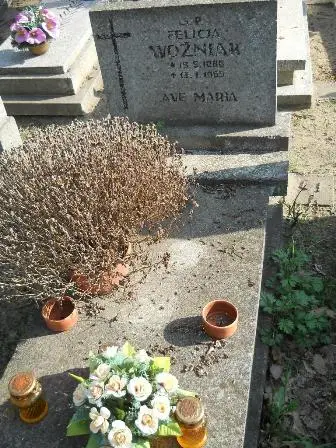Zdjęcie grobu 9a/78