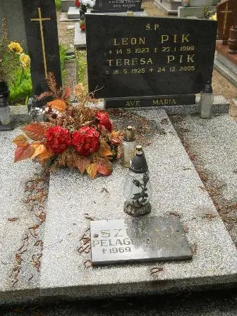 Zdjęcie grobu 32/100
