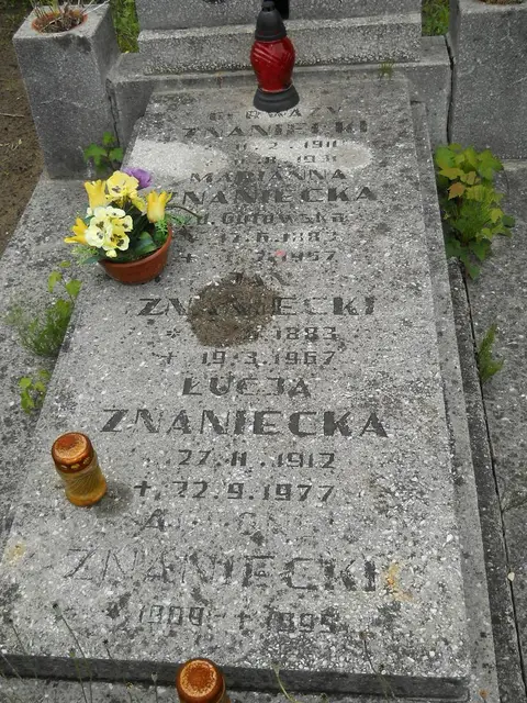 Zdjęcie grobu 21/23750