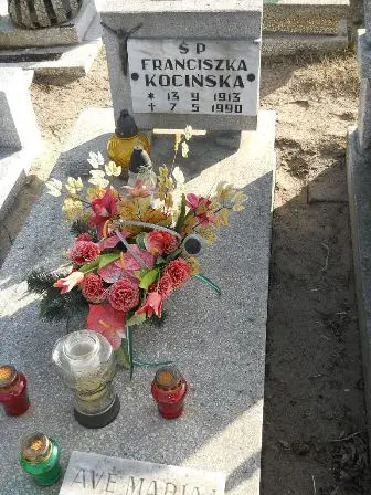 Zdjęcie grobu 100/100
