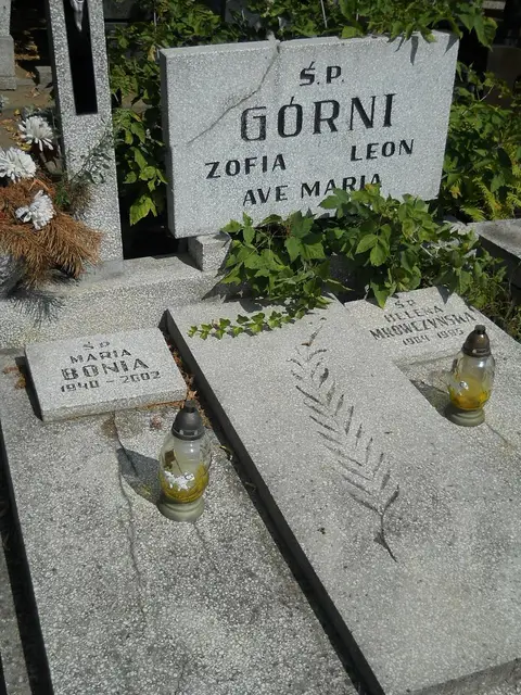 Zdjęcie grobu 18/28231