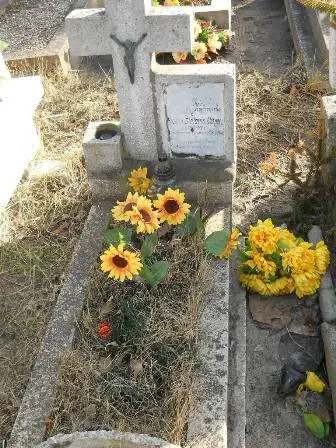 Zdjęcie grobu 6a/100
