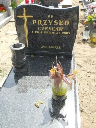 Zdjęcie grobu 25/36gł