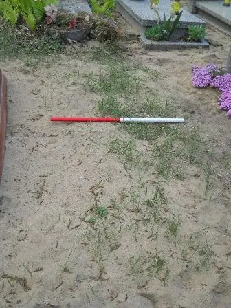 Zdjęcie grobu 34/246a