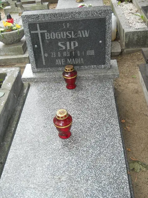Zdjęcie grobu 12/29482
