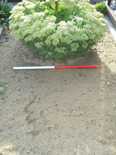 Zdjęcie grobu B/25708
