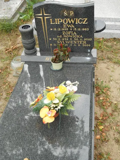 Zdjęcie grobu 9/24479