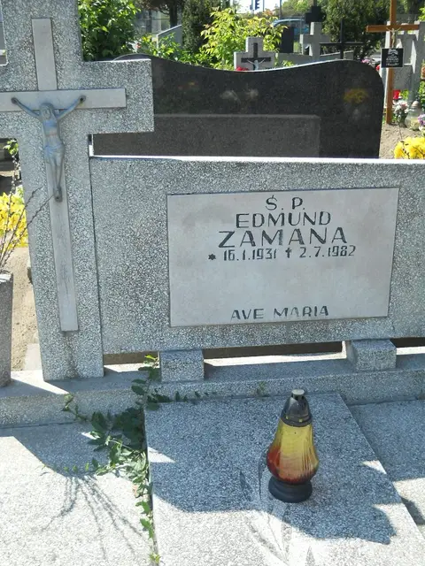 Zdjęcie grobu 7/11874
