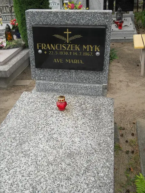 Zdjęcie grobu 7/11168