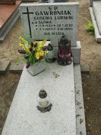 Zdjęcie grobu 32/51