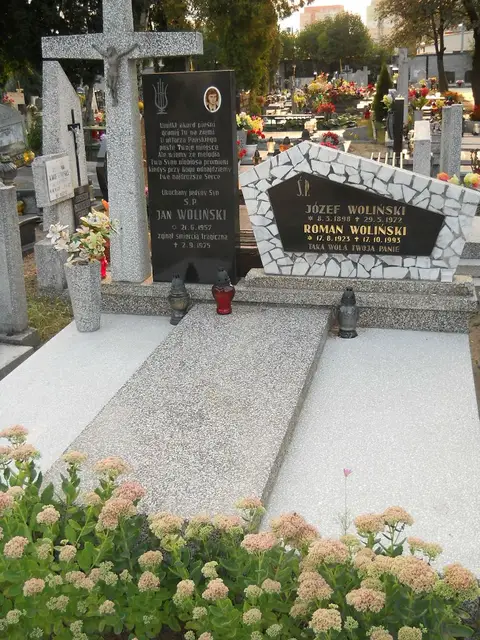 Zdjęcie grobu 13/29014