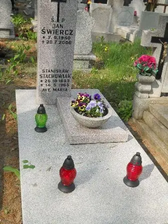 Zdjęcie grobu 33/100