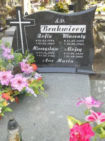 Zdjęcie grobu 24/100