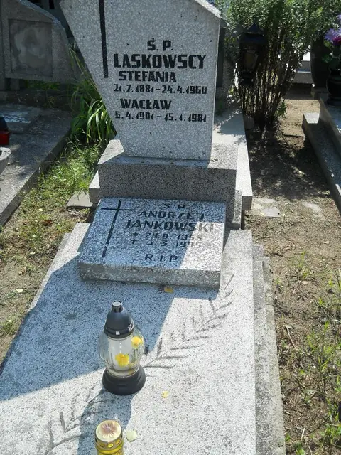 Zdjęcie grobu 14/27466