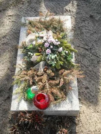 Zdjęcie grobu 100/100