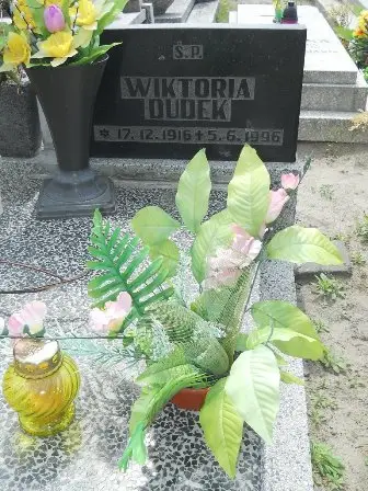 Zdjęcie grobu 21/133