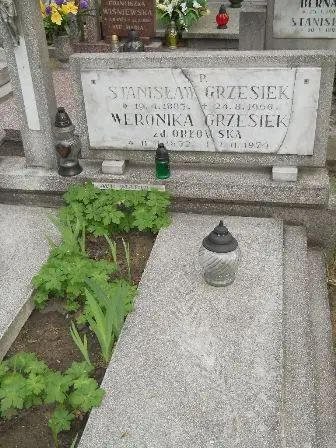 Zdjęcie grobu 33/248,249