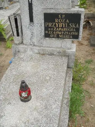 Zdjęcie grobu 22/185