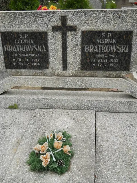 Zdjęcie grobu 5/22378