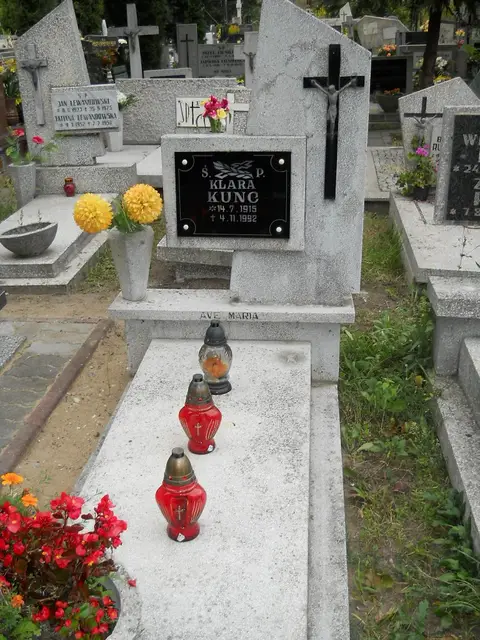 Zdjęcie grobu A/24729