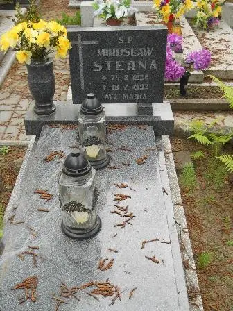 Zdjęcie grobu 32/239